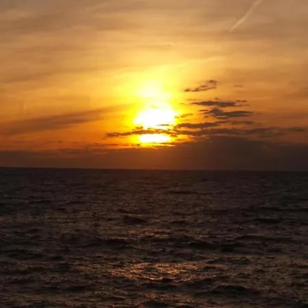 Le Brusc With Sea View *